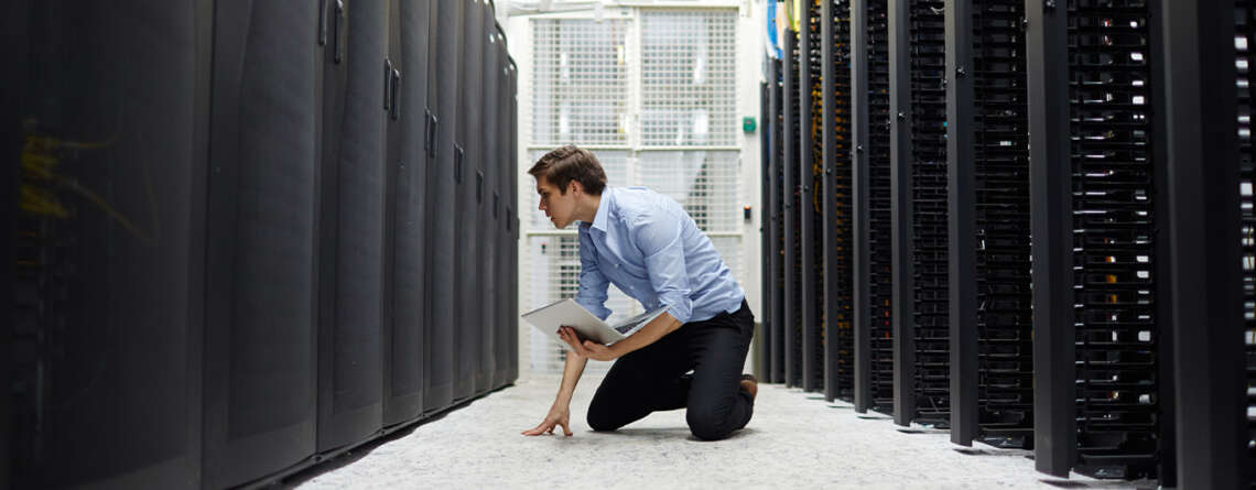 I.T. Manager with web hosting servers.